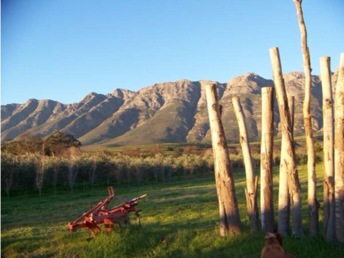 Fraaigelegen Farm - Home Of Adhara Evoo Tulbagh Exterior foto