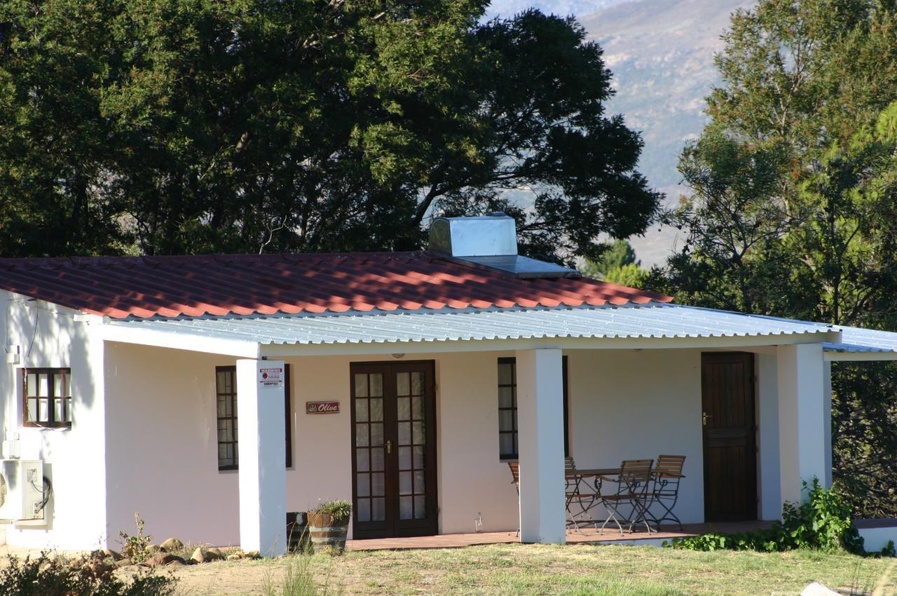 Fraaigelegen Farm - Home Of Adhara Evoo Tulbagh Exterior foto